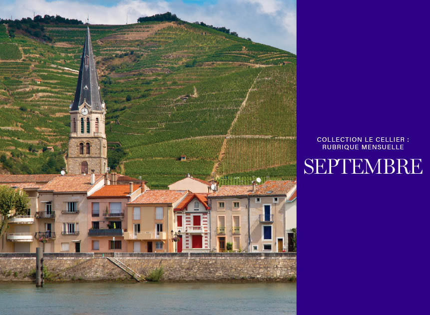 VINTAGES Shop Online Home